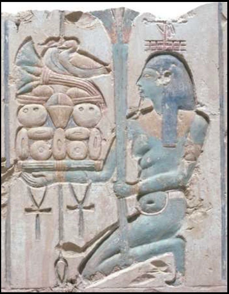 term image
