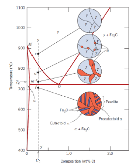 <ul><li><p>An alloy with composition ranging from 0.022 to 0.76 wt % C</p></li></ul><p></p>
