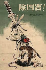 <p>A initiative launched by the Chinese government, aimed at eradicating pests deemed harmful to agriculture and public health. Targeting rats, flies, mosquitoes, and sparrows, the campaign employed various methods, including mass extermination efforts, which had significant ecological and unintended consequences.</p>