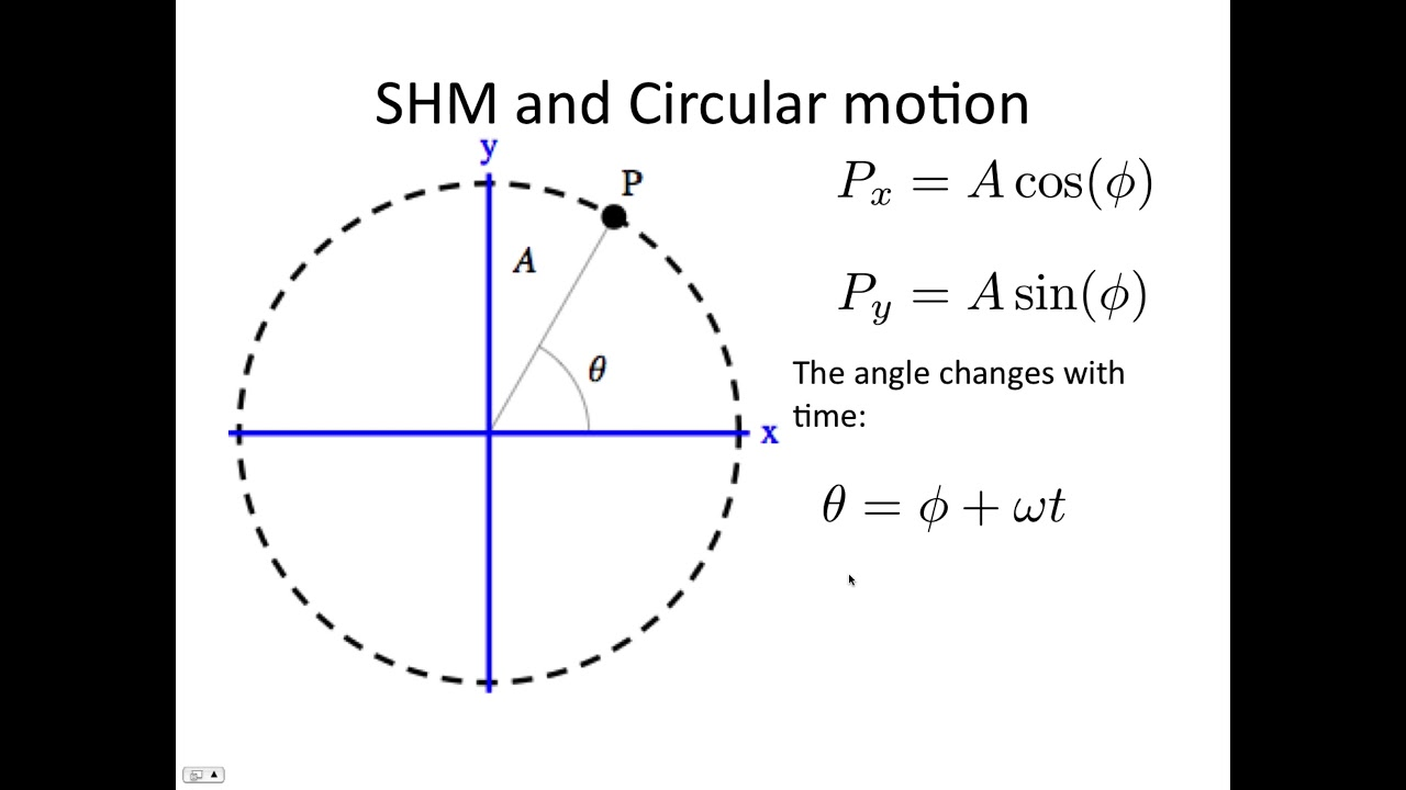 <p>One complete oscillation has similar characteristics to one complete revolution in circular motion</p><p>Explain the connection between circular motion and SHM?</p><p>Include a diagram</p>