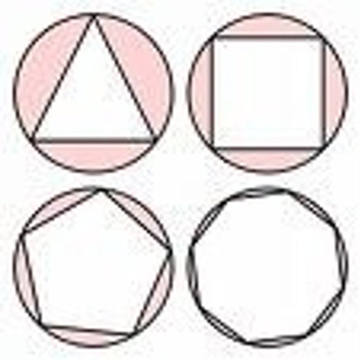 <p>The circle that contains the vertices</p>