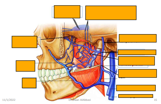 <p>Label this image, what does it show </p>