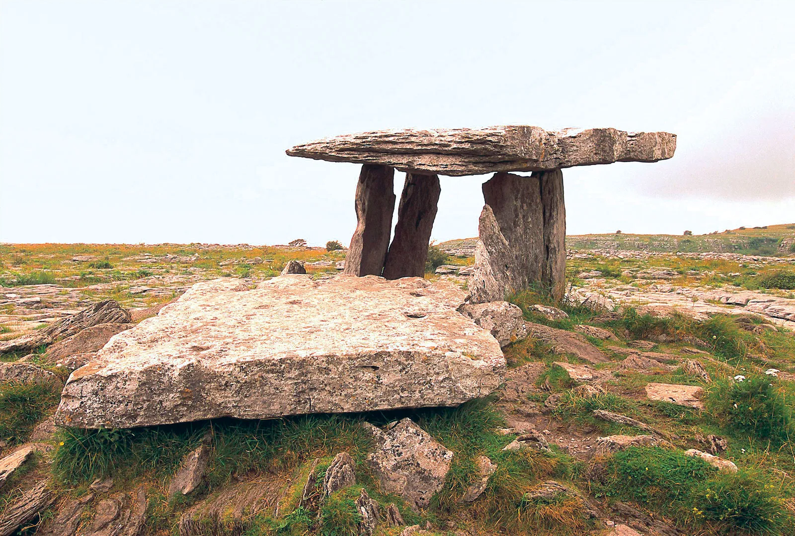 <p>megalithic (adj) </p>