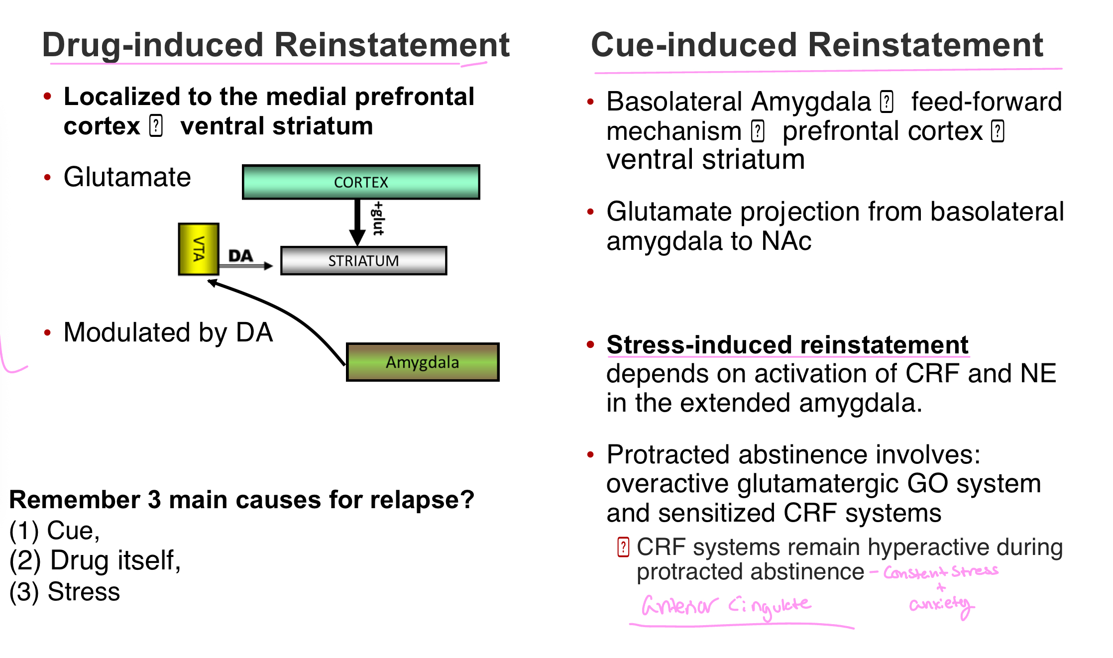 <p>How does drug-induced, cue-induced, and stress-induced reinstatement relate to brain circuitry and structures?</p>