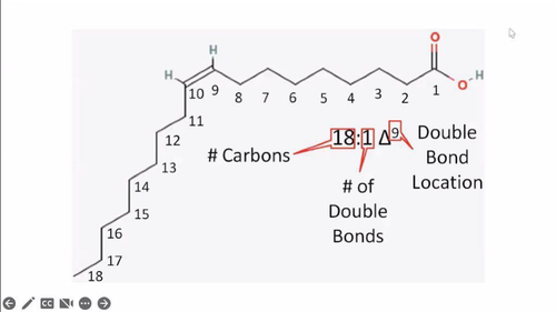 Identify 3 things:

number of carbons in fatty acid

number of double bonds

number of carbons are counted from the carboxylic acid end to the first carbon with double bonds

\
use the delta symbol

\
applies to naming unsaturated fatty acids