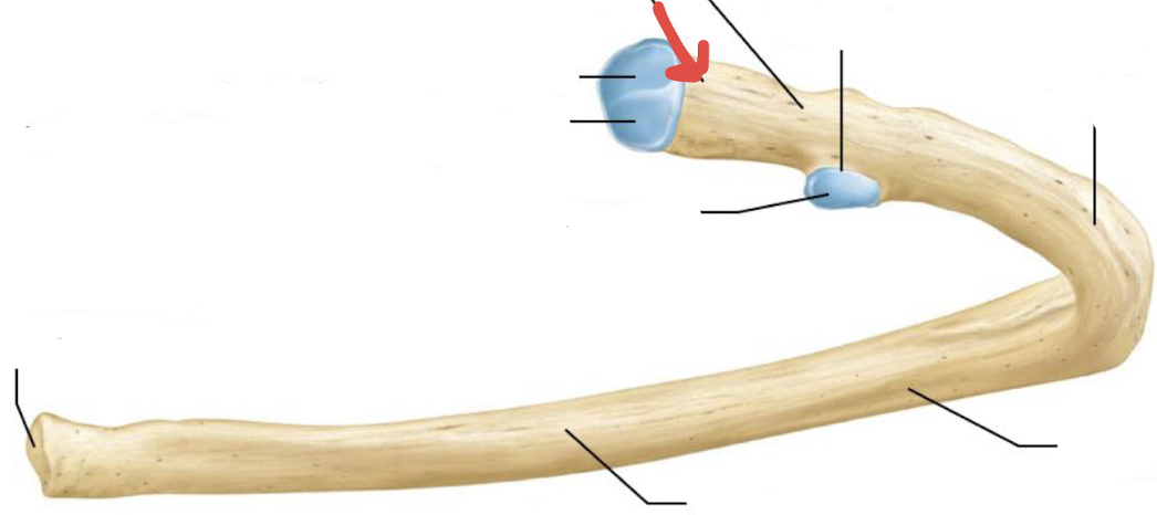 <p>what is this?</p>