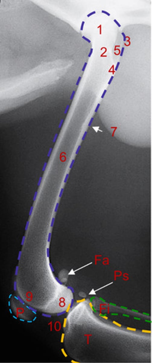 <p>What is number 7?</p>