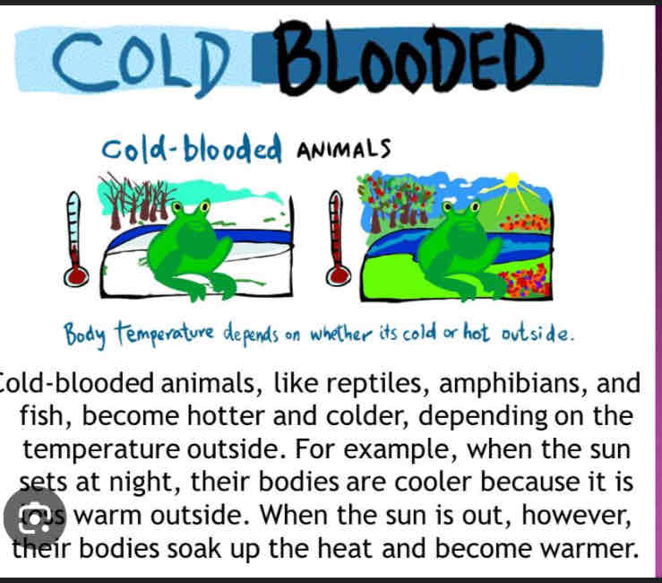 <p>Cold blooded </p>