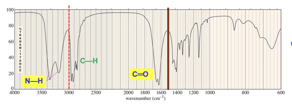 <p>An amide, a primary amide in particular, due to the sharp strong carbonyl signal around 1640 to 1680 <mark data-color="rgba(0, 0, 0, 0)" style="background-color: rgba(0, 0, 0, 0); color: inherit;">cm<sup>-1</sup></mark><span>, C-H stretch signals just below 3000 </span><mark data-color="rgba(0, 0, 0, 0)" style="background-color: rgba(0, 0, 0, 0); color: inherit;">cm<sup>-1</sup></mark><span>, and strong, somewhat broad N-H stretch signals with peaks around 3300 </span><mark data-color="rgba(0, 0, 0, 0)" style="background-color: rgba(0, 0, 0, 0); color: inherit;">cm<sup>-1</sup></mark><span>.</span></p><ul><li><p>Primary amides will have two peaks for the N-H stretches as the nitrogen atom has two hydrogen atoms bound to it.</p></li><li><p>Secondary amides will have one peak for the N-H stretch due to only one hydrogen atom. </p></li><li><p>Tertiary amides show no N-H signal. </p></li></ul><p></p>