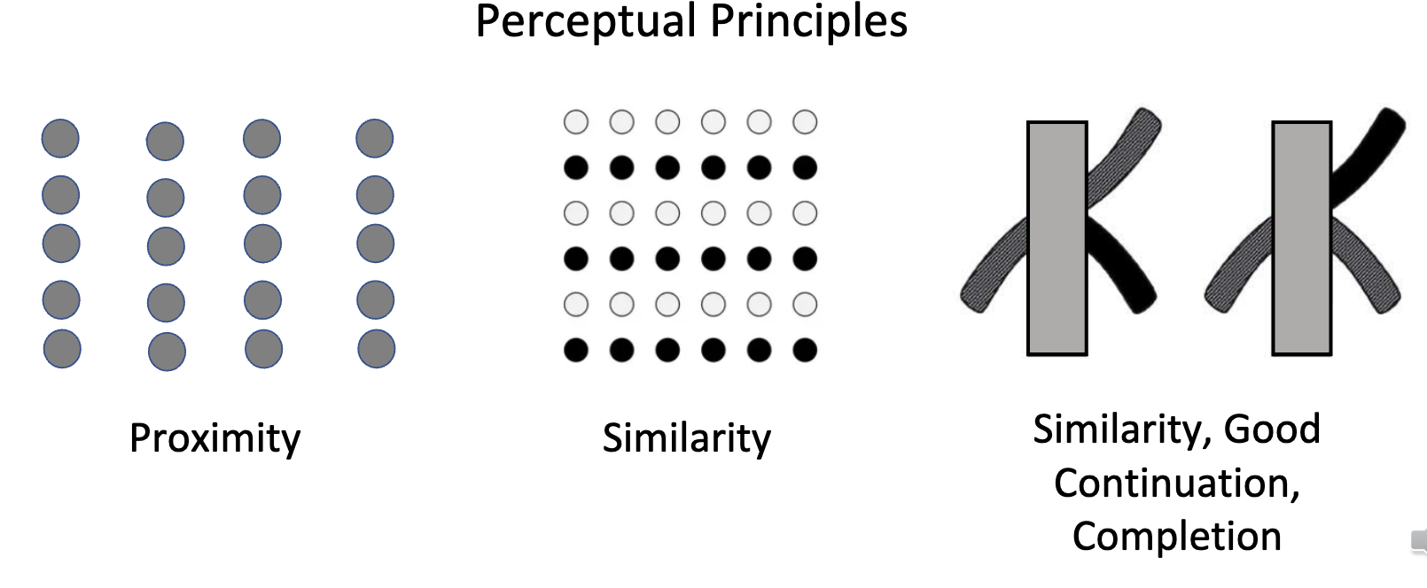 <p>controversy comes up when we conclude that it is knowledge/reasoning</p><ul><li><p>there are other ways to interpret this, than that its’ organisms’ knowledge</p></li><li><p><strong> </strong>it could instead be the perceptual abilities of infants = by way of <strong>gestalt principles</strong></p></li><li><p>perceptual completion occurs beyond the occlude, just bc our perceptual ability fills in the rest of the info</p></li><li><p><strong>perceptual similarity, good continuation, perceptual completion</strong></p></li></ul><p>(ii)&nbsp;&nbsp; perceptual abilities come without experience or knowledge, its innate</p>