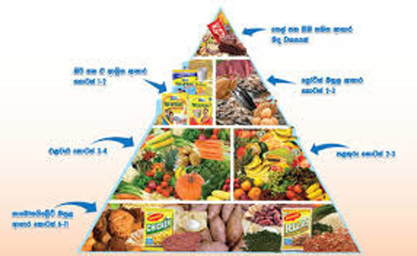 <p>balanced diet</p><p>comer de diferentes grupos de alimentos</p>