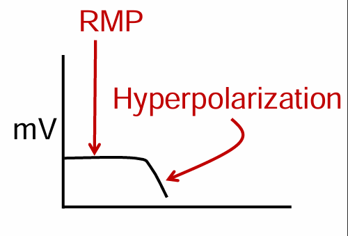 <p>membrane potential becomes more negative than the RMP</p>