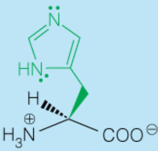<p>Full</p>