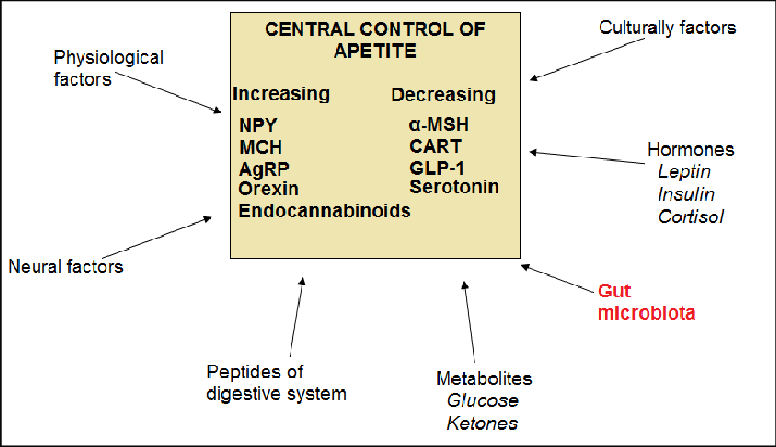 <ul><li><p><strong>Kognition</strong>: Stress, känslor och associationer. </p></li><li><p><strong>Smak</strong>: födospecifika egenskaper, cefal fas. </p></li><li><p><strong>Neuroendokrina</strong>: orexigena och anorexigena peptider i GI-kanalen samt parasympaticus/sympaticus. </p></li><li><p><strong>Gastrointestinala</strong>: Matens sammansättning, osmolalitet, tömningshastighet osv. </p></li><li><p><strong>Metabola</strong>: Spjälkning och upptag, levermetabolism. </p></li></ul><p></p>