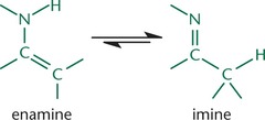 <p>Imine from is the thermodynamically favored over the enamine form on the left.</p>