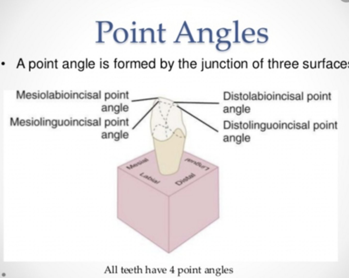 <p>Where surfaces meet</p>