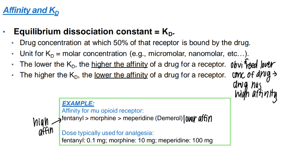 <p>dissociation constant - drug conc where half the receptors are bound </p>