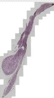 <p>What is this?</p>