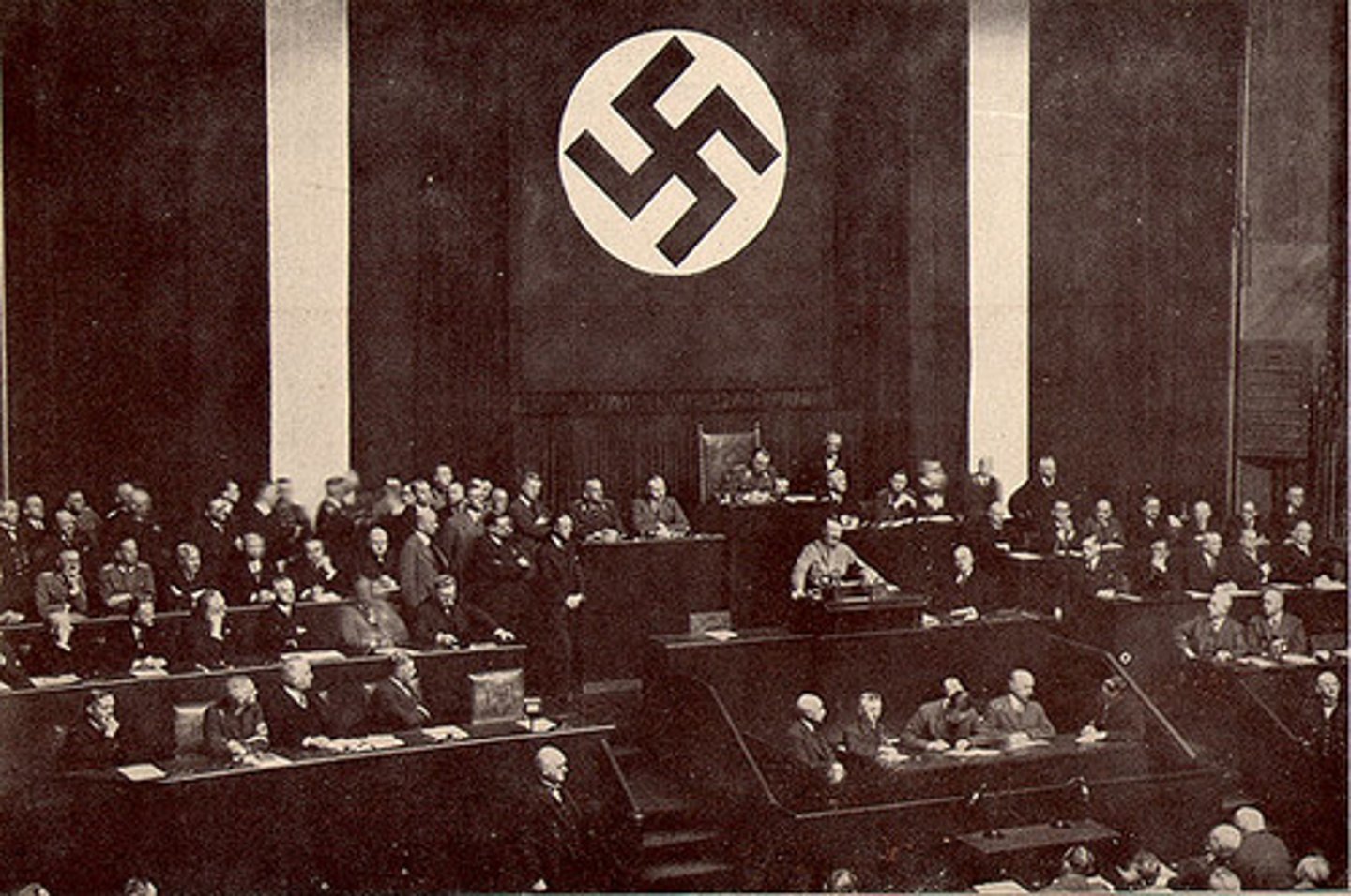 <p>A law which gave Hitler the power to pass laws without the Reichstag.</p>