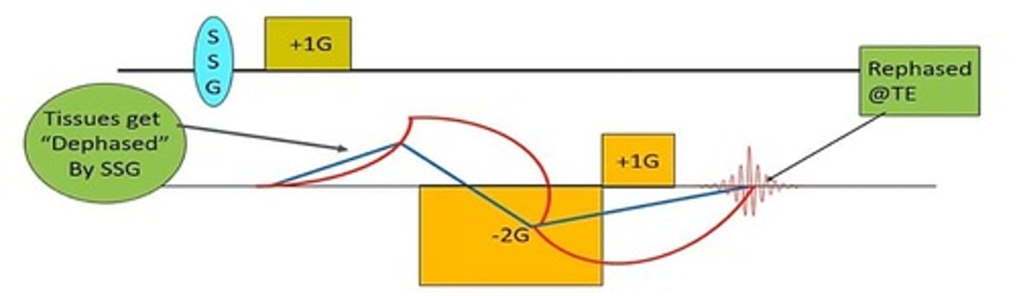 <p>The spreading out of protons in the transverse plane after the RF pulse is turned off.</p>