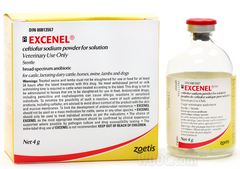 <p>Ceftiofur</p>
<p>Note: It is a sterile powder which is added to sterile water and given SQ or IM to cattle, horses, swine, sheep, and dogs (SQ only)</p>