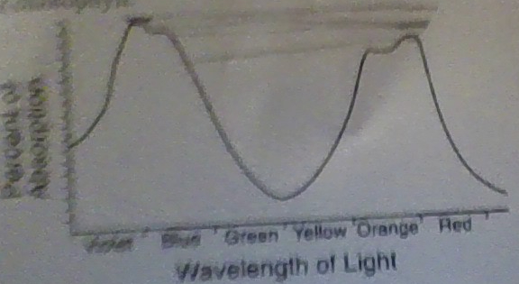 <p>The graph indicates that the energy used in photosynthesis is more likely obtained from which regions of the sprectrum?</p>