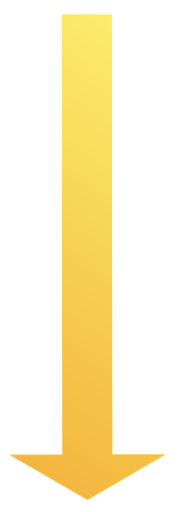 <p>individual - relationship with the self (in social terms)</p><p>interpersonal - relationship with other individuals</p><p>intragroup - relationships with other people in our group</p><p>intergroup - relationships with people in different groups</p>