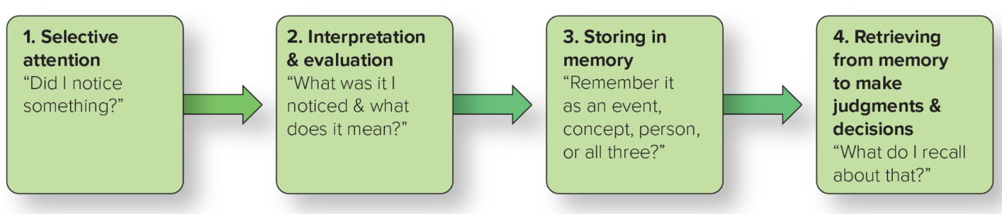 <ol><li><p>Selective attention</p></li><li><p>Interpretation and evaluation</p></li><li><p>Storing in memory</p></li><li><p>Retrieving from memory to make judgements and decisions</p></li></ol><p></p>