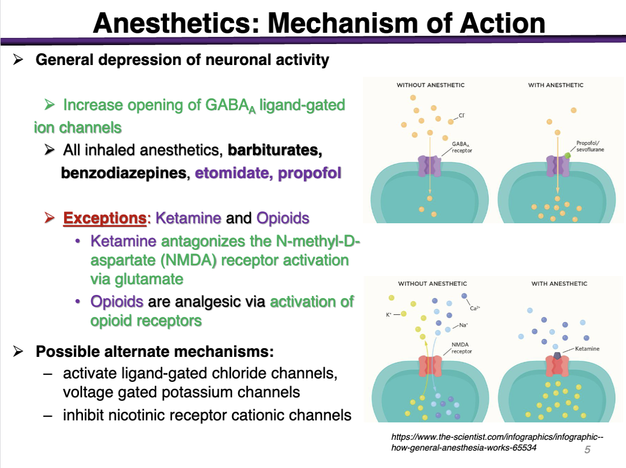 <p><strong>A) Activate GABA_A receptors </strong></p><p></p><p>downstream effect is inhibition bc GABA is inhibitory </p>