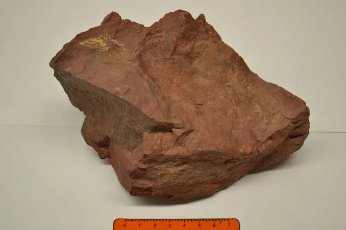 <p>Identify the sedimentary rock</p>