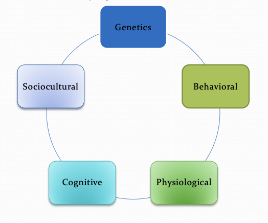 <p>Biopsychosocial Model</p>