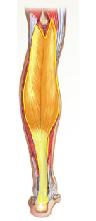 <p>What is this? </p>