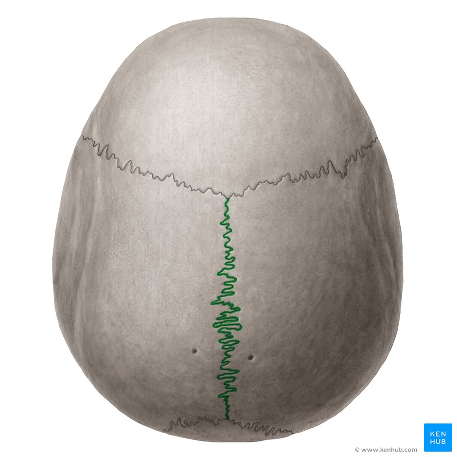 <p>what is this structure?</p>