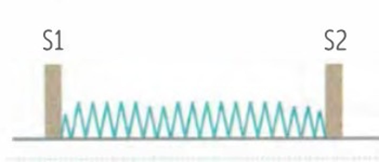 <p>SYSTOLIC</p><p>-Holosystolic, harsh at left lower sternal border.</p><p>-Loudest at *tricuspid area*</p><p>-Louder with hand grip 👊 (increased afterload)</p>