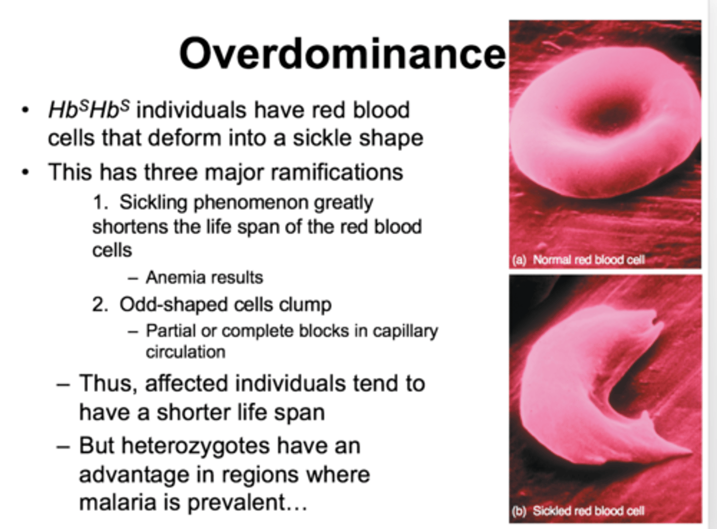 <p>when the heterozygote has a greater level of reproductive success than either homozygote</p><p>EX: sickle cell anemia</p>