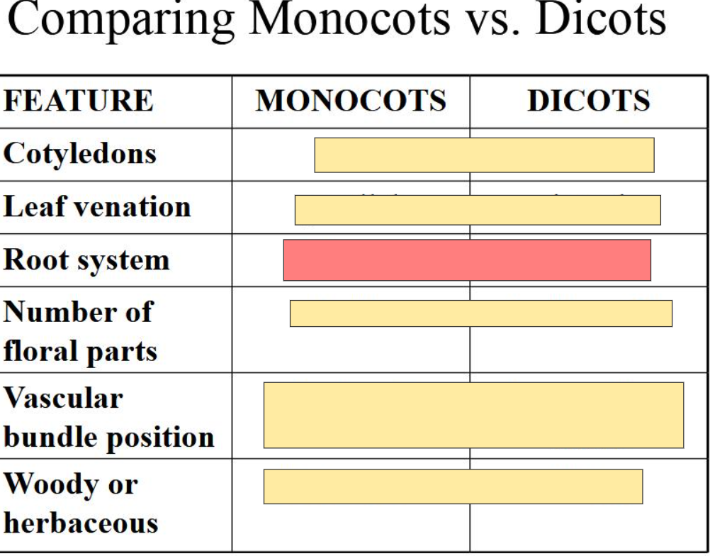 <p>answer in this format:<br>M- (answer)<br>D- (answer)</p>