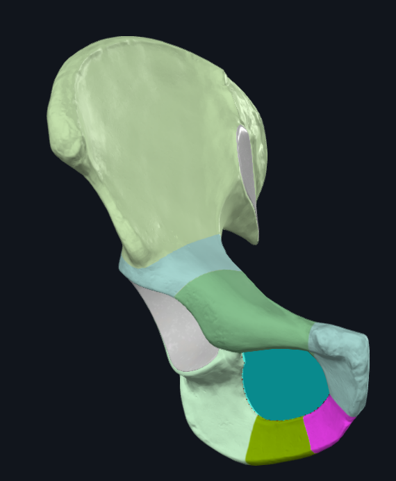 <p>What is highlighted pink</p>