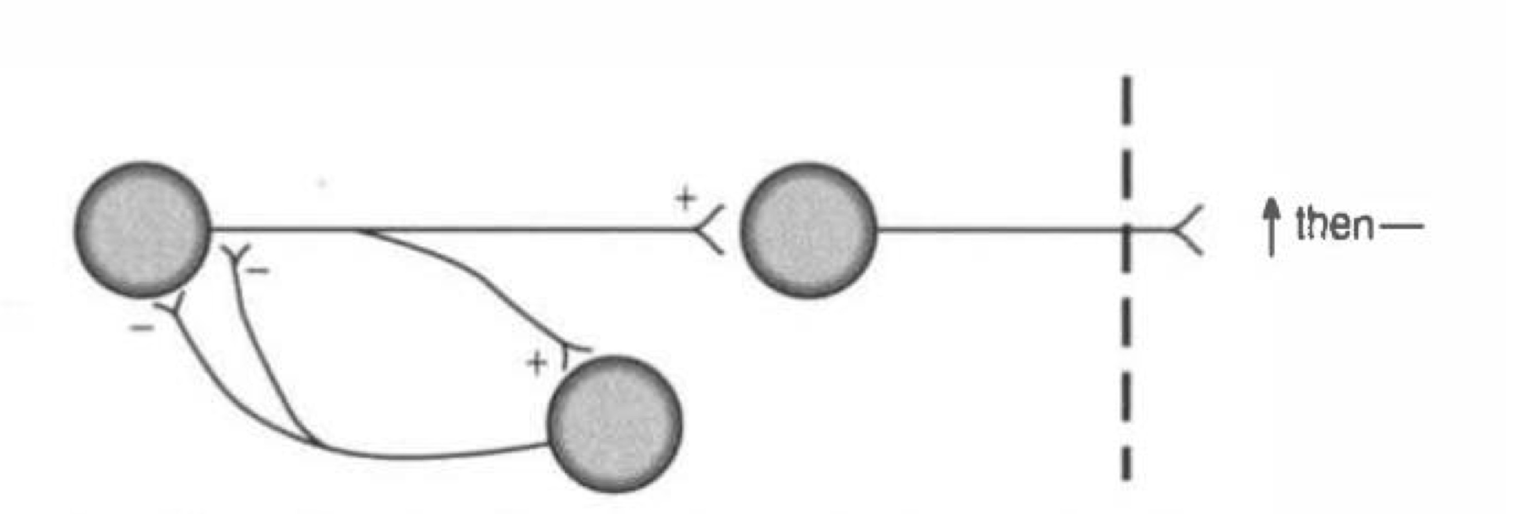 <p>what type of connection is this </p>