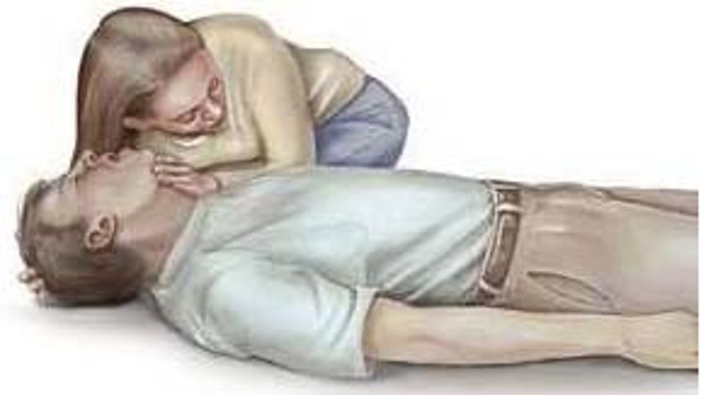 <p>1. give 30 chest compressions and 2 rescue breaths</p><p>2. continue until scene becomes unsafe, you see a sign of life, AED is ready to use, you are too exhausted, or another trained responder arrives and takes over</p>