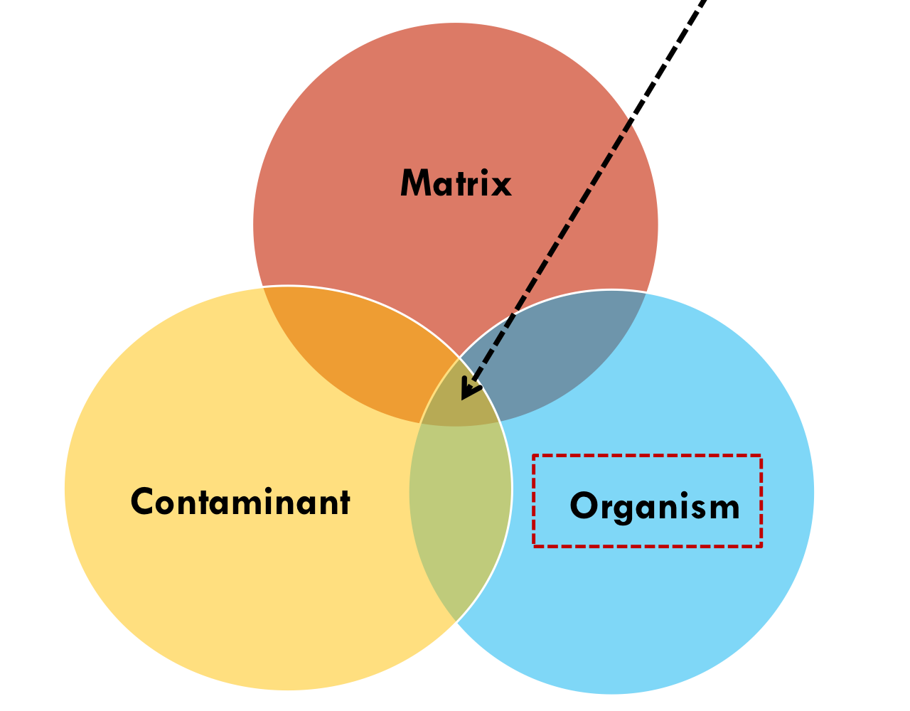 <p>overlab between matrix, contaminant, and organism</p>
