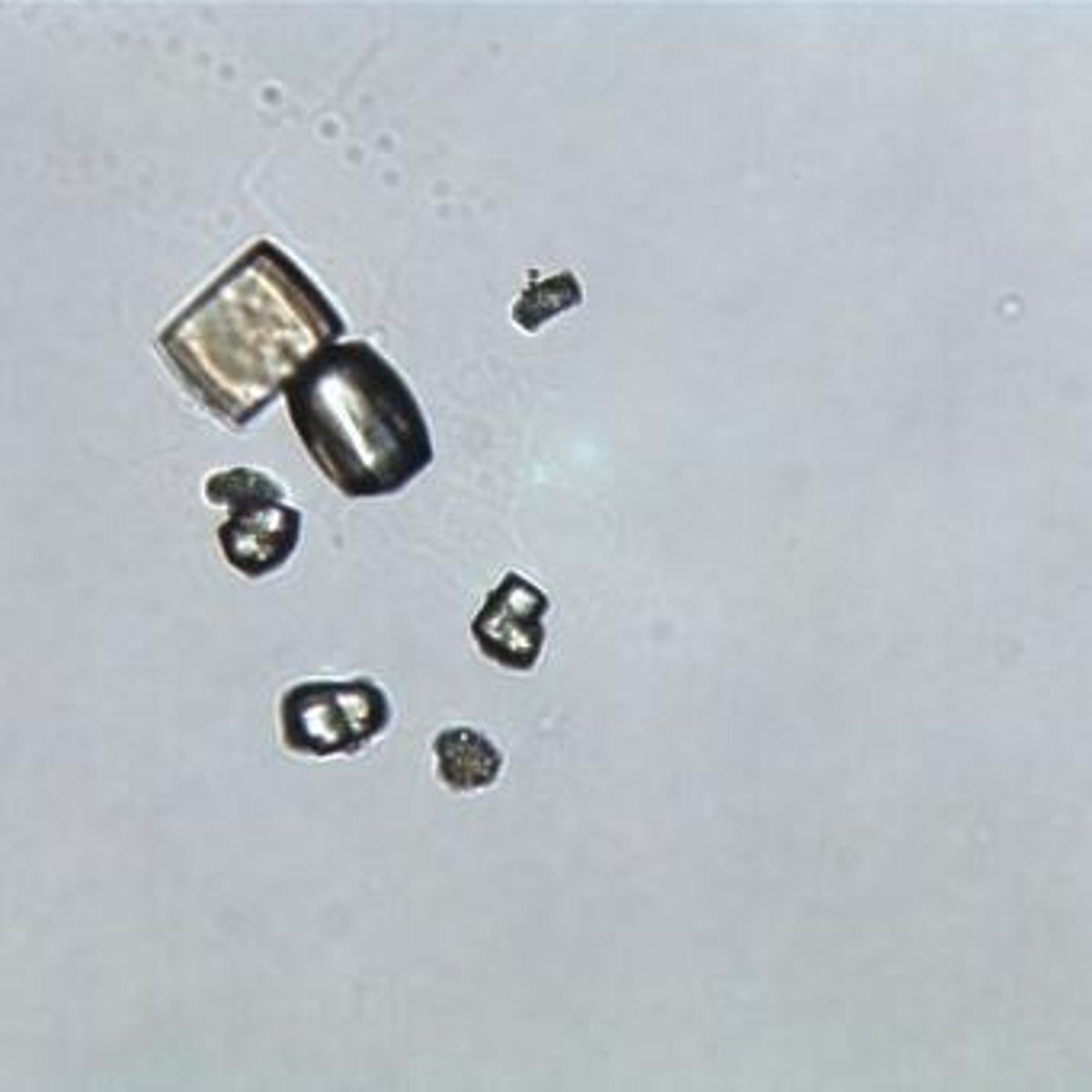 <p>3 to 6 sided prisms, can be very large, colorless.</p>