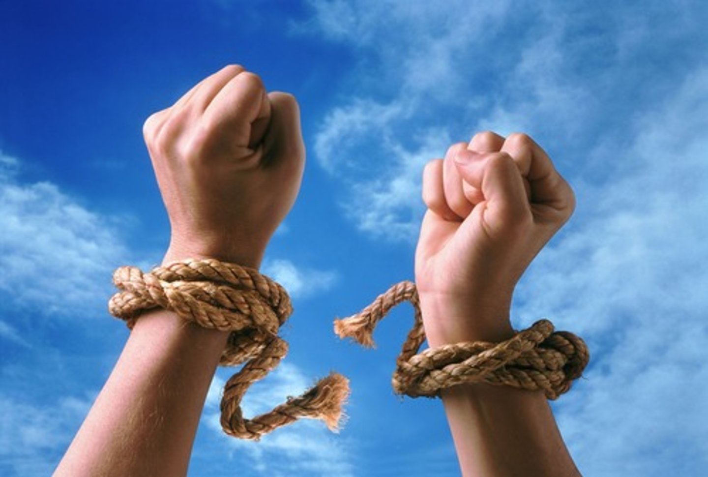 <p>liberate</p>