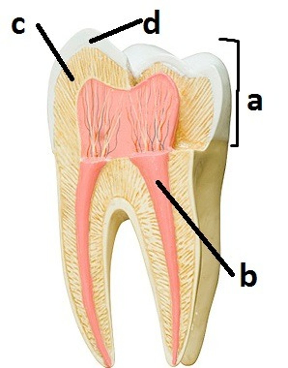 <p>b</p>