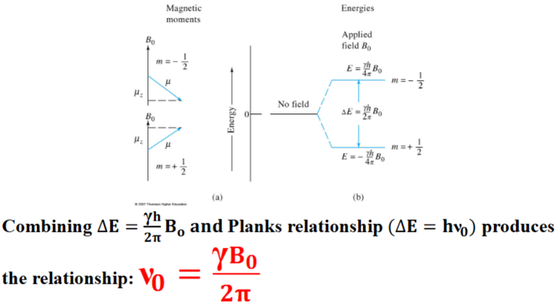 <p><span style="color: rgb(0, 0, 0);">When a nucleus with a spin quantum number of 1/2 is brought into an external magnetic field (B0), its magnetic moment (μ) becomes oriented in one of two directions, with respect to the magnetic field, depending on its magnetic quantum state. The absorption/emission of the frequency (ν0) can be related to the magnetogyric ratio.</span></p>