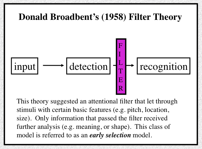 <p>Which model of attention is this and what does it do</p>