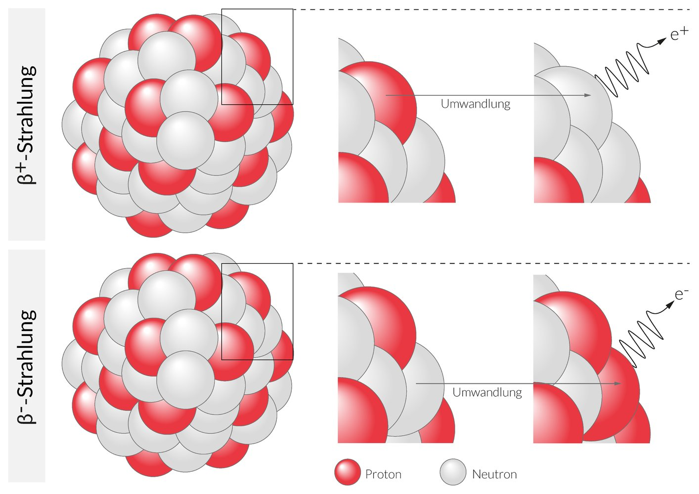 <p>45. In positron emission tomography (PET), 2-fluoro-2-deoxy-D-glucose is used as a glucose analog labeled with the radionuclide ¹⁸⁹F.</p><p>Which nuclide is formed when ¹⁸⁹F decays by emitting a positron?</p><p>A. ¹⁹<sub>⁹</sub>F</p><p>B. ¹⁴<sub>⁷</sub>N</p><p>C. ²²<sub>¹¹</sub>Na</p><p>D. ¹⁸<sub>¹⁰</sub>Ne</p><p>E. ¹⁸<sub>⁸</sub>O</p>