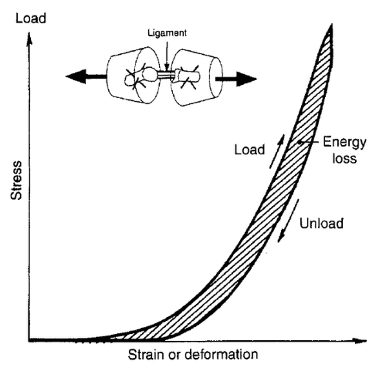 <p><strong>Viskoelastība</strong> ir materiāla īpašība, kad tam piemīt gan elastīga, gan viskoza ķermeņa daba.</p>
