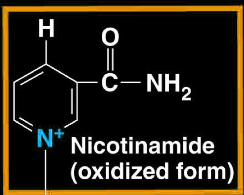 <p>Nicotinamide Adenine Dinucleotide</p><ul><li><p>main carrier in cellular respiration</p></li><li><p>oxidizing agent (accepts electrons)</p></li><li><p>cycles between NAD+ (oxidized) and NADH (reduced)</p></li><li><p>extremely versatile and is involved in many of the redox reaction steps of cellular respiration</p></li></ul><p></p>