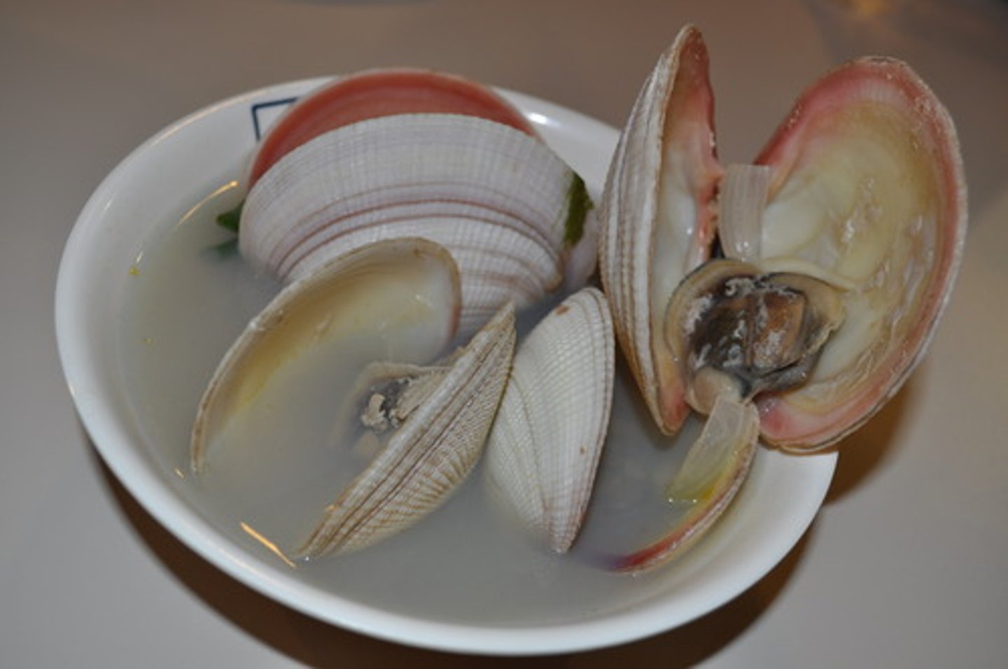 <p>clams</p>