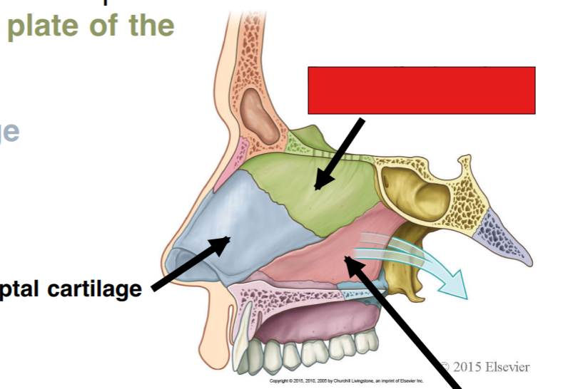 <p>fill in the red box:</p>